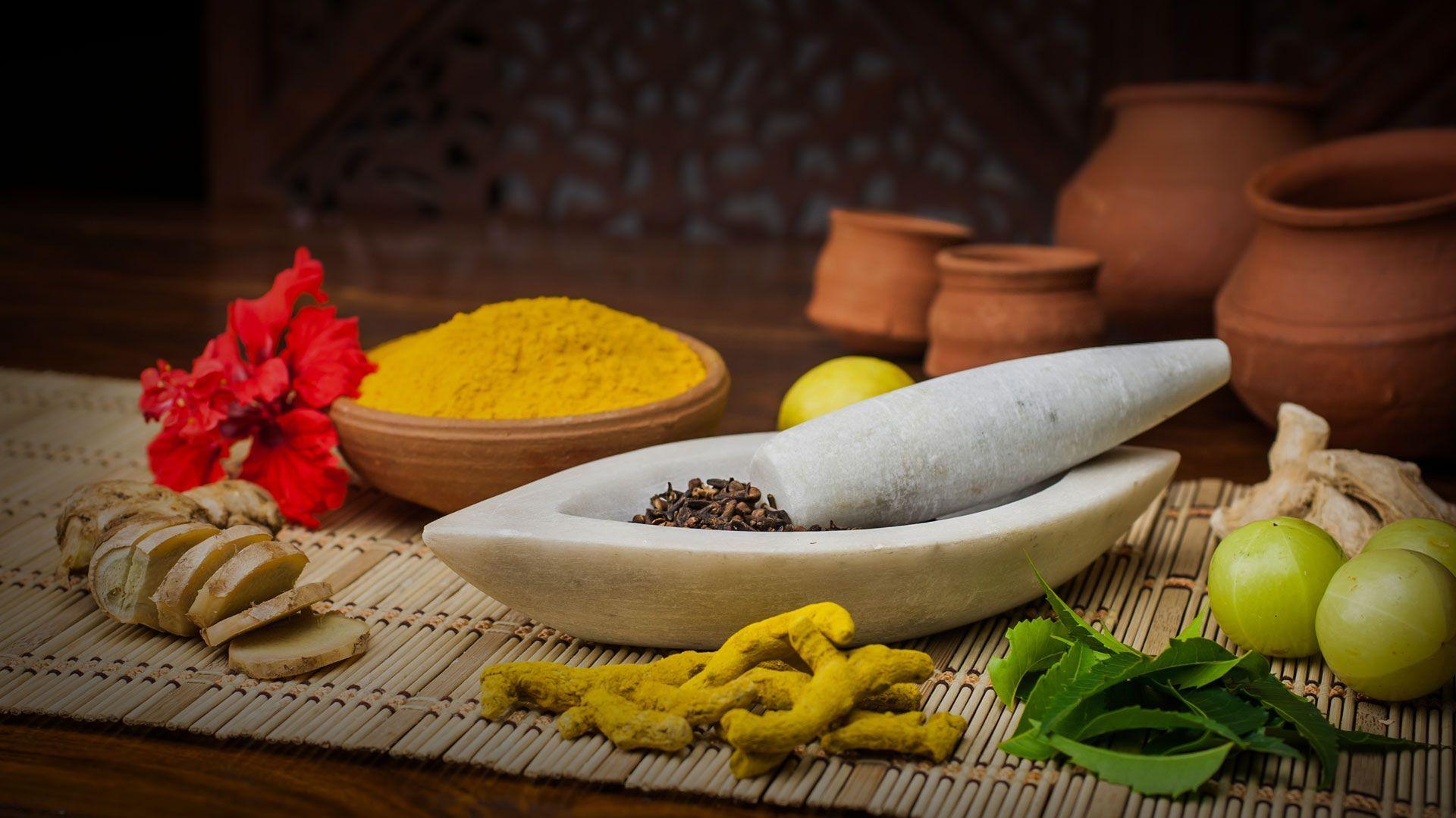 Traditional Ayurvedic ingredients, herbs and spices reflecting Ayurveda’s Indian origins